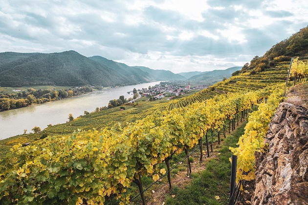 Domane Wachau